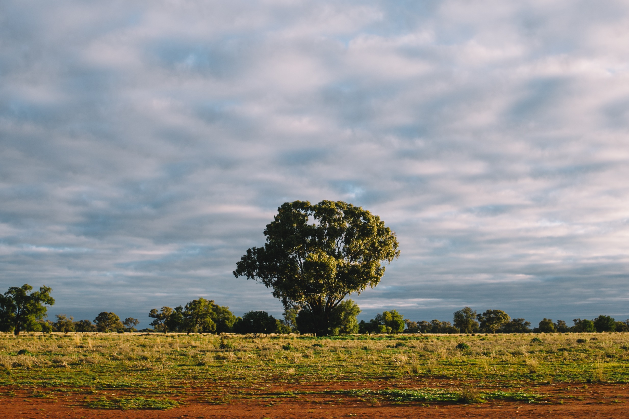 Nyngan 2016-362